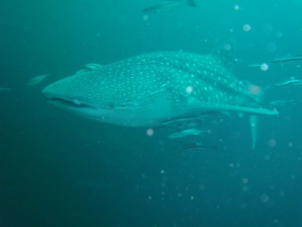 28001d7a-ebb6-4957-8f52-eff9e3a2f507