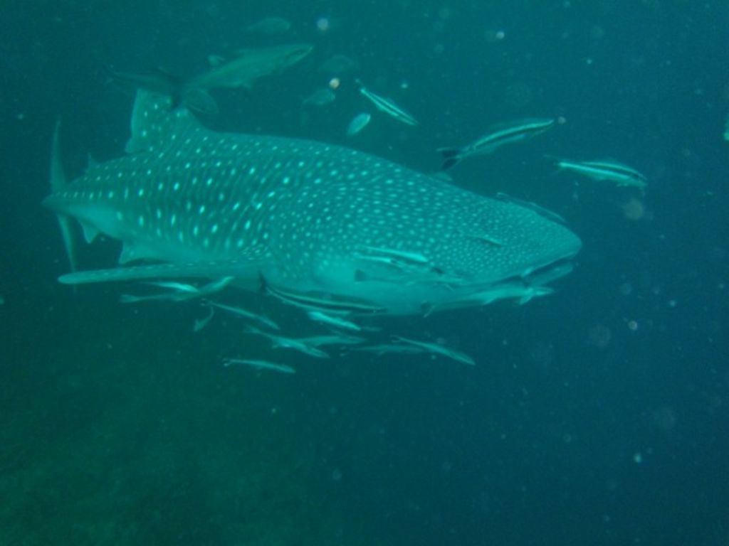 28001d7a-ebb6-4957-8f52-eff9e3a2f507