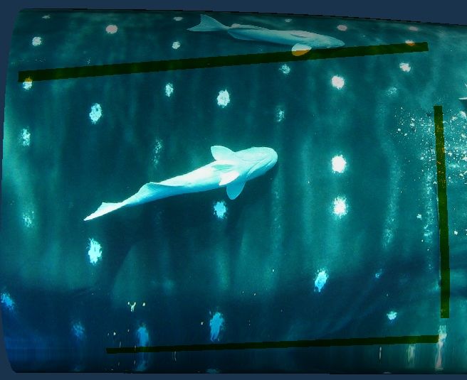 1f8d3231-2e3c-4e49-adfa-070c272ddc0b