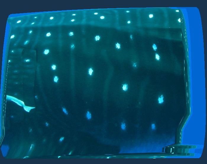 00a3f9b0-a9a1-4698-801b-2f777266633d