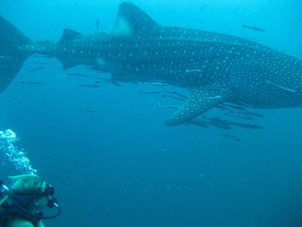 6b9dfd91-4f8d-4512-8100-2bb3752c20ec