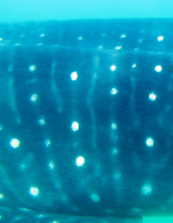 52d6206d-dea9-49be-9cfb-25cfe5809897