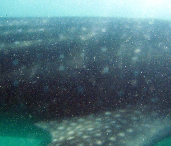 52d6206d-dea9-49be-9cfb-25cfe5809897