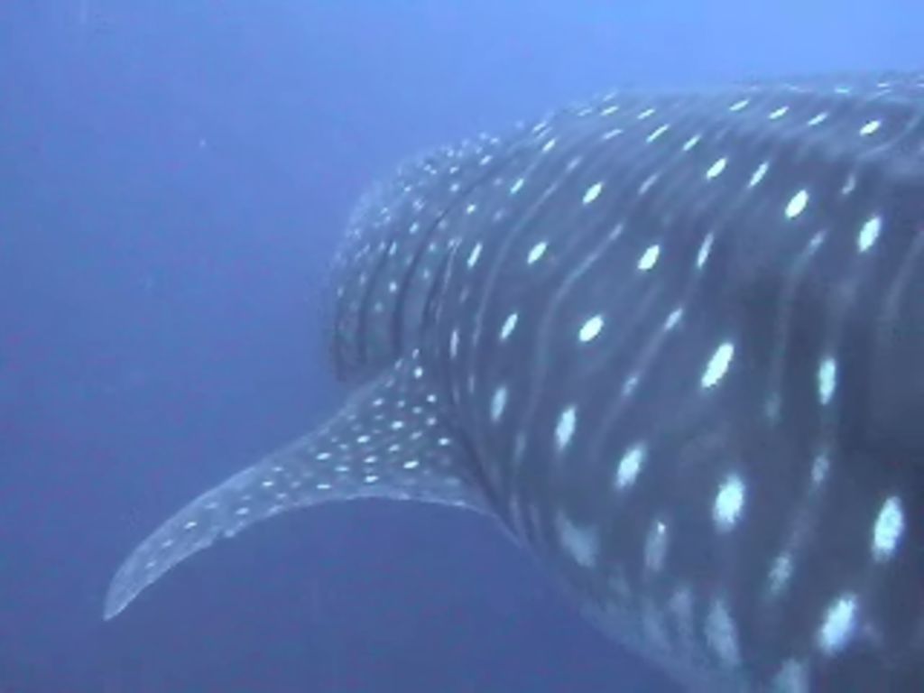 1cf022ac-18f2-459f-a7f4-d1398bdb6077