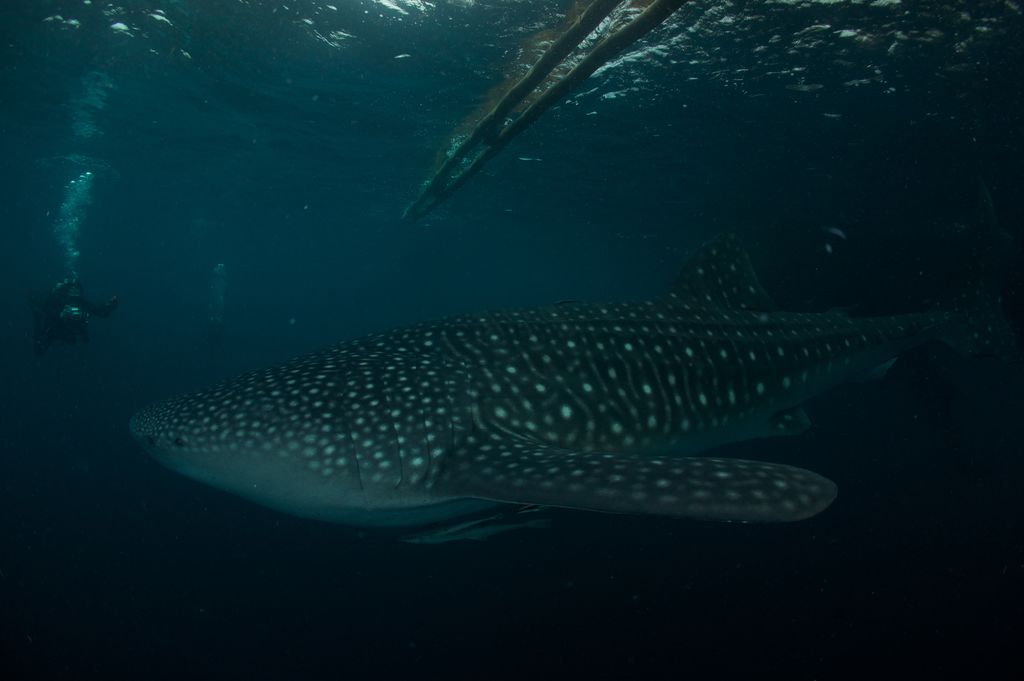 1727b9f9-cf7f-494e-b802-a0fd863c82cd