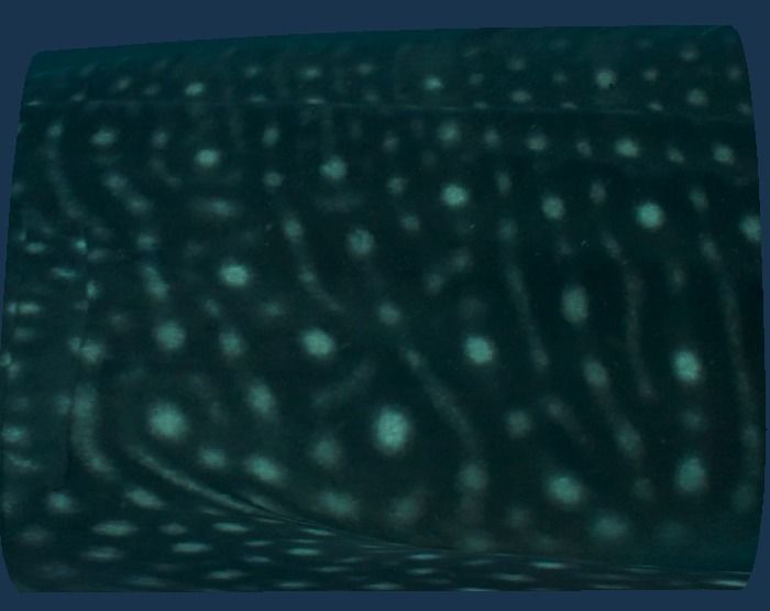 1727b9f9-cf7f-494e-b802-a0fd863c82cd