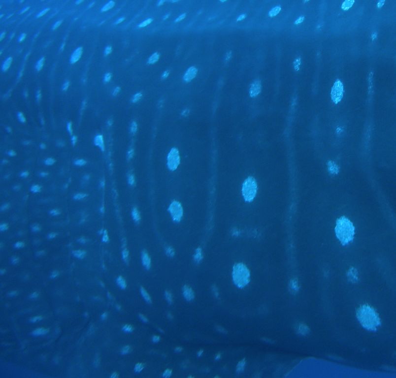 58c72e02-f1fd-4ea8-890c-3c35f0943a2a