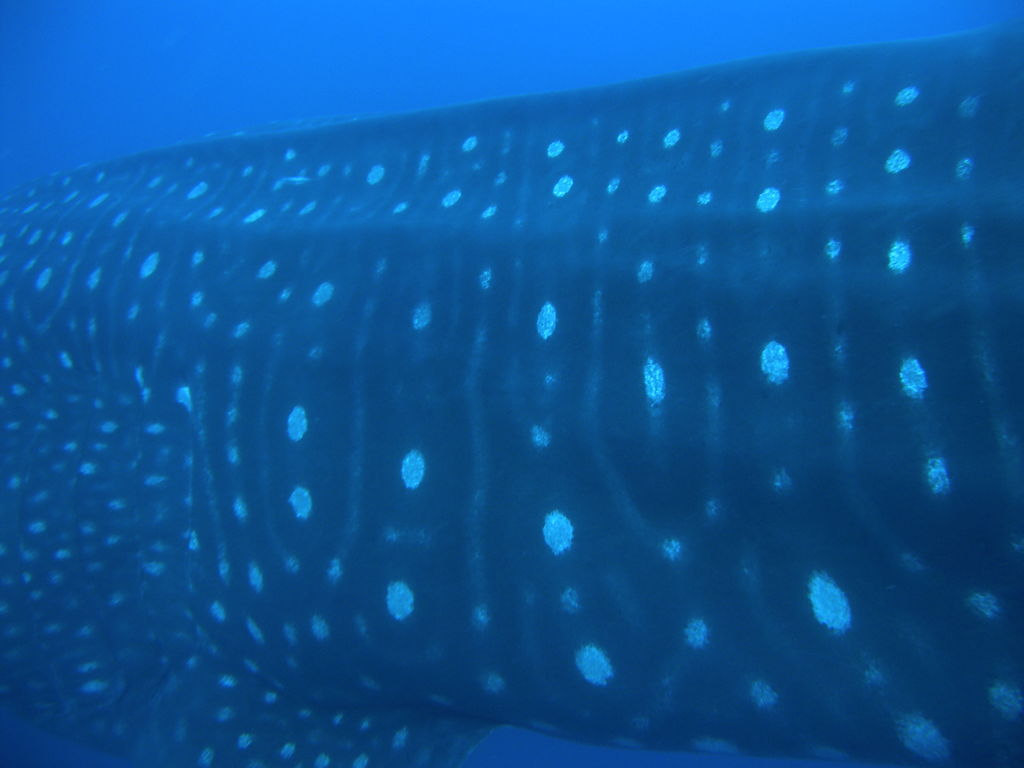 58c72e02-f1fd-4ea8-890c-3c35f0943a2a