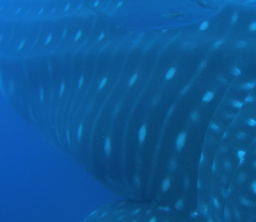 918d7b70-ed56-426e-a9e8-bcc02a4b9fd7