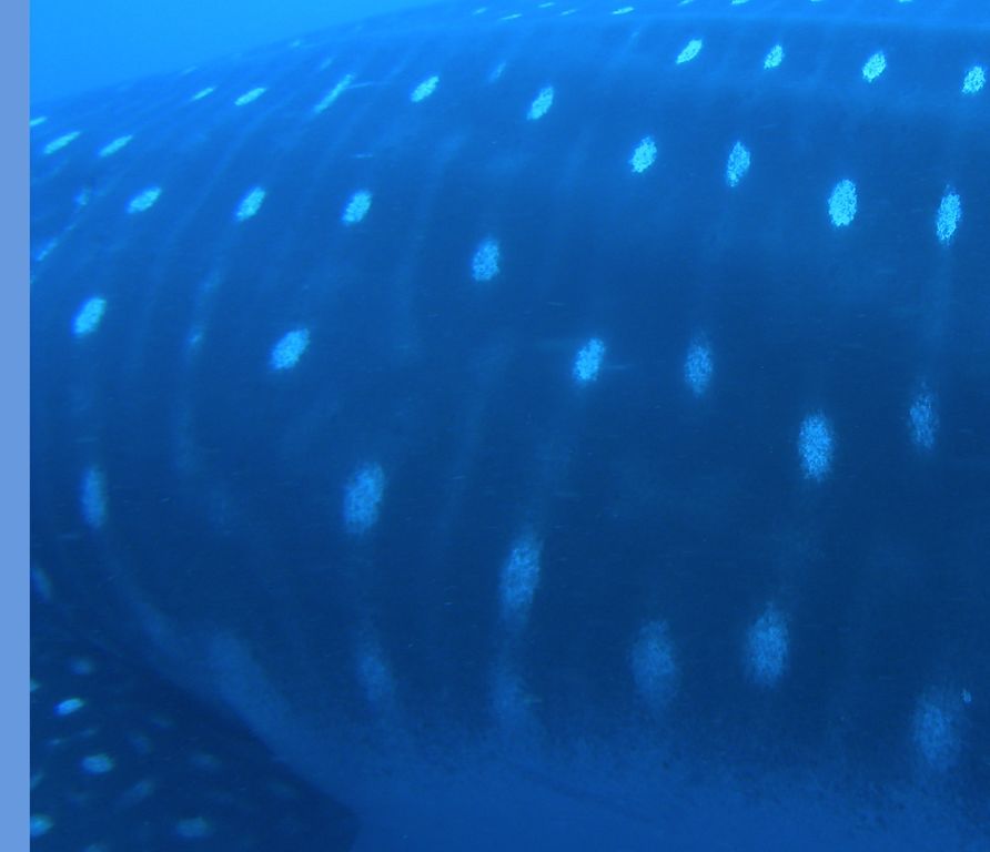 918d7b70-ed56-426e-a9e8-bcc02a4b9fd7