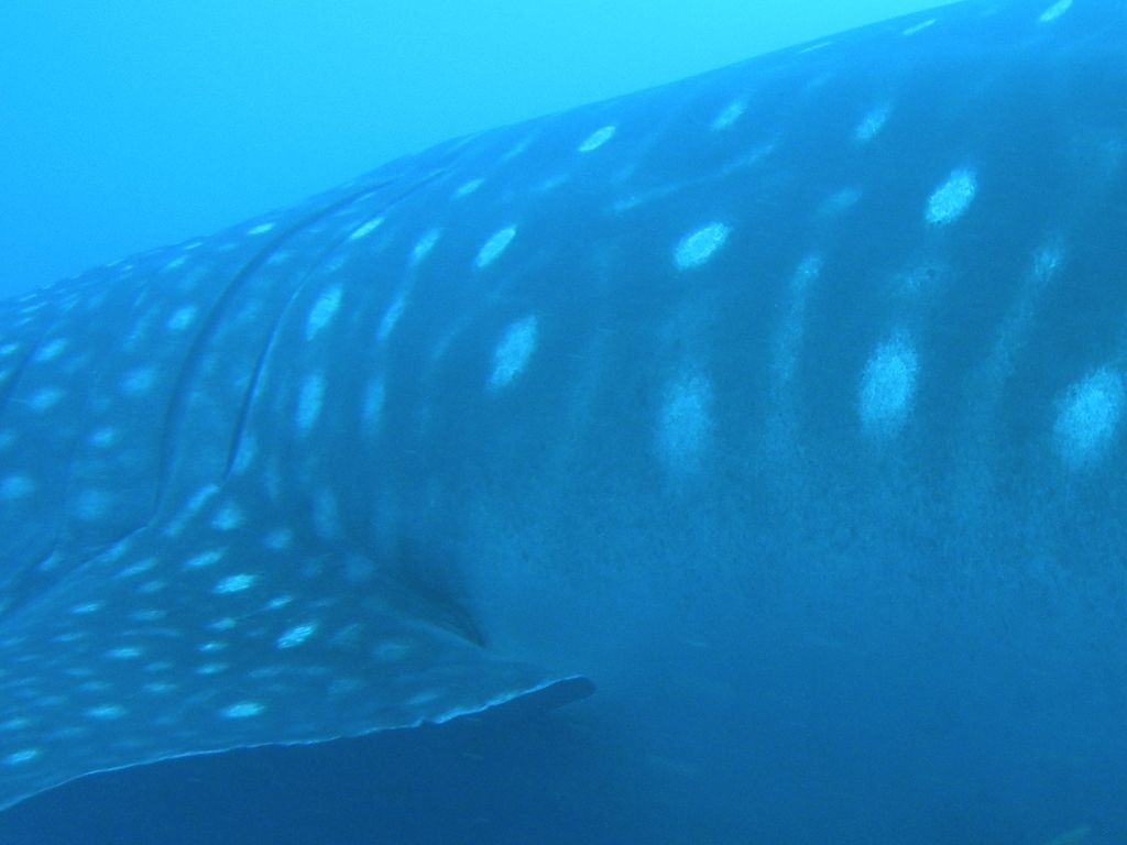 4b3e5f60-9982-4333-ab5b-e23cbef9f62f