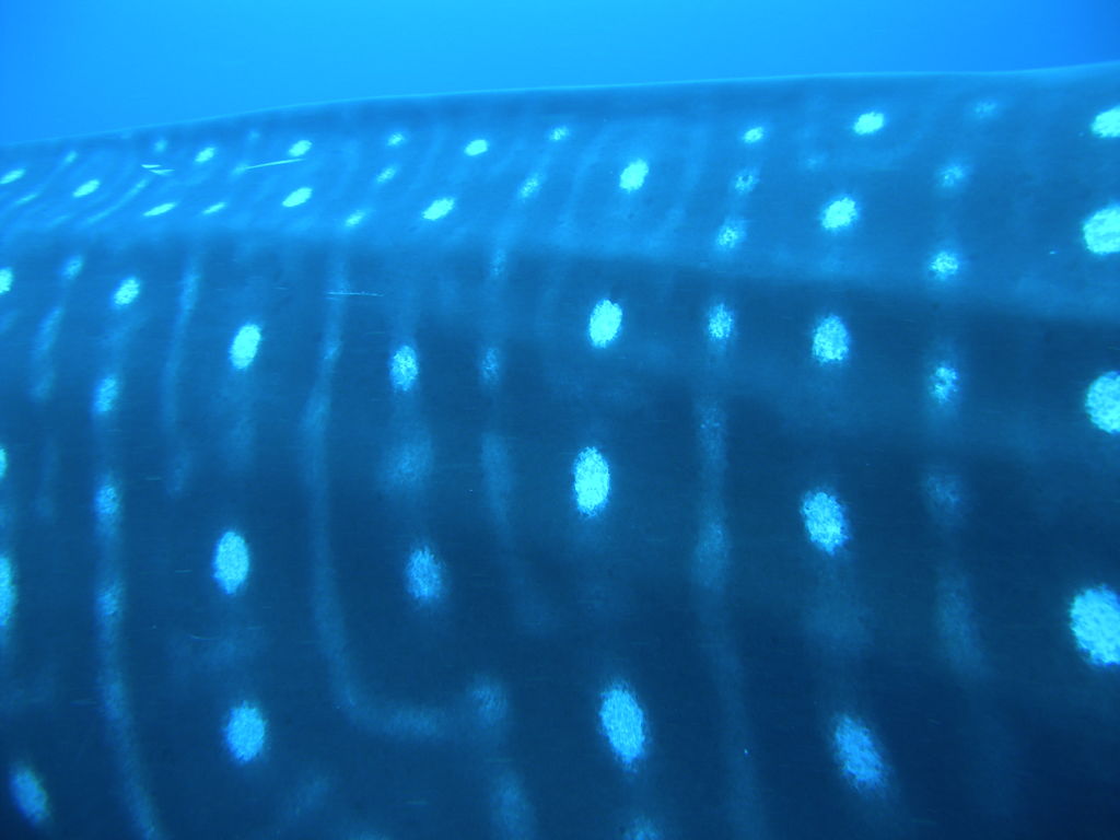 4b3e5f60-9982-4333-ab5b-e23cbef9f62f