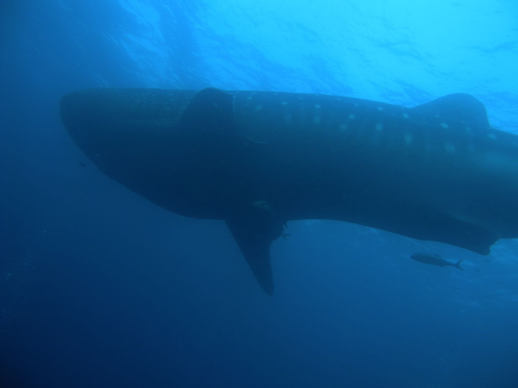 4b3e5f60-9982-4333-ab5b-e23cbef9f62f