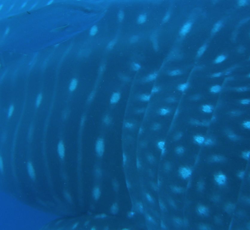 4b3e5f60-9982-4333-ab5b-e23cbef9f62f