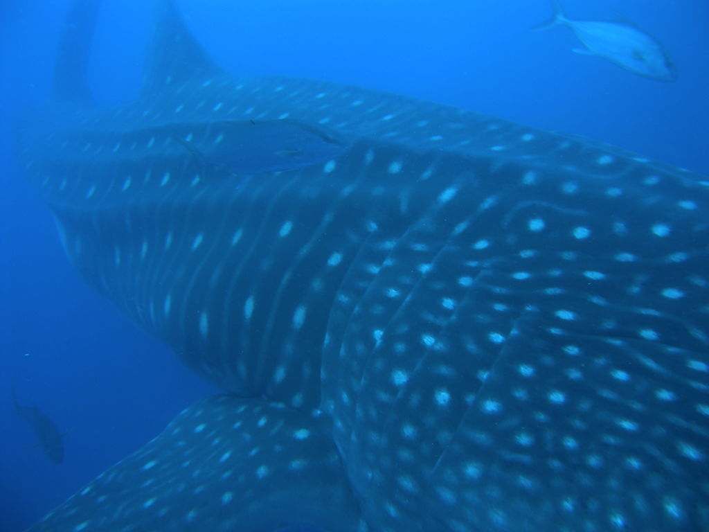 4b3e5f60-9982-4333-ab5b-e23cbef9f62f