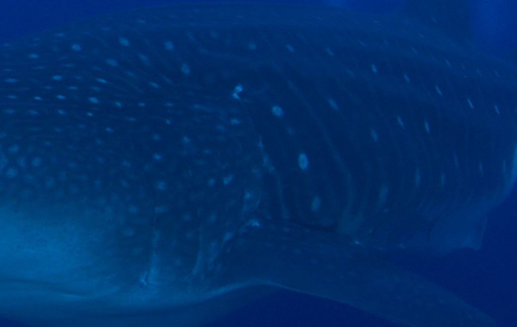 40565eae-83bf-4720-b5c7-9a93447abc2b