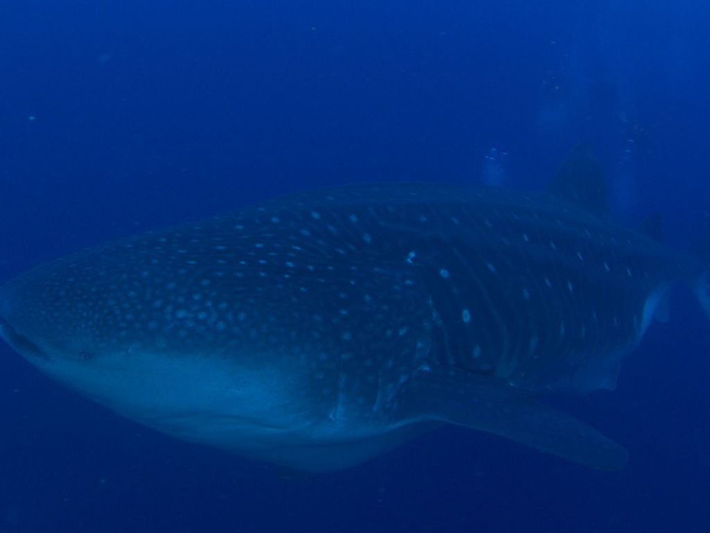 40565eae-83bf-4720-b5c7-9a93447abc2b