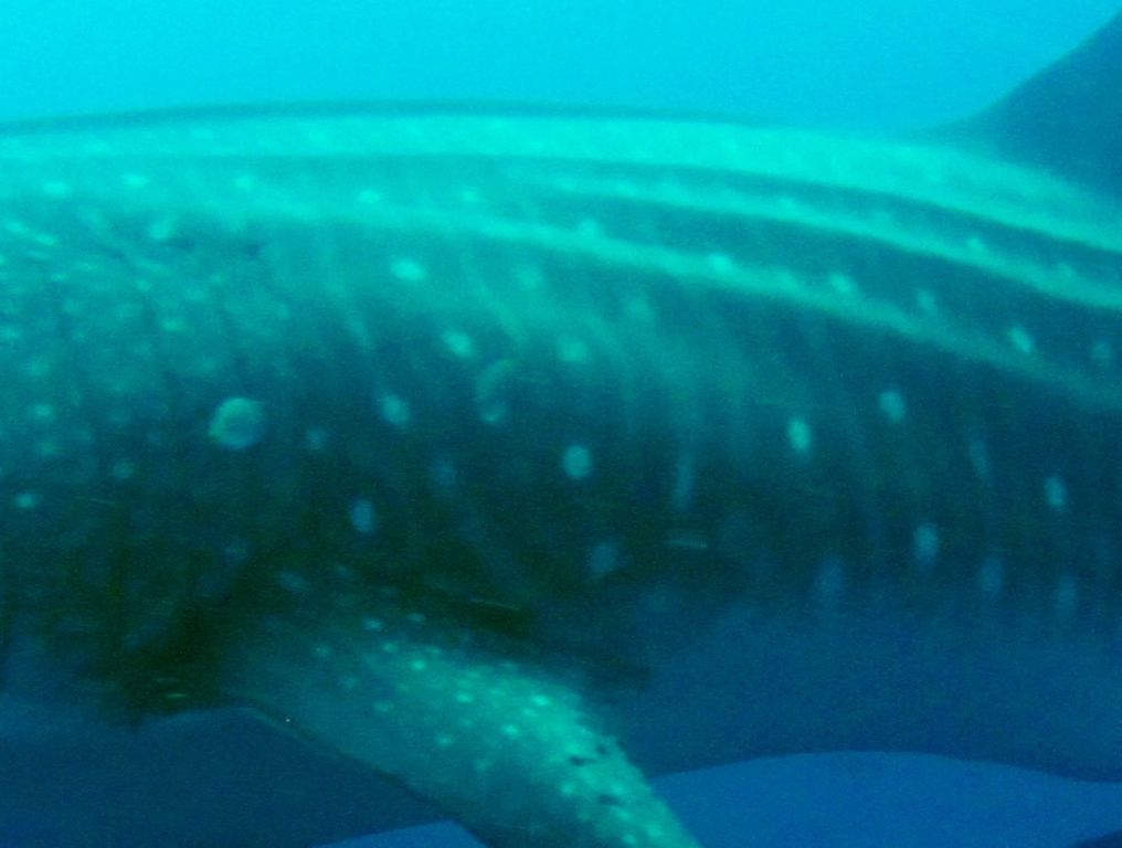 2935f268-a1cd-4409-bb45-4a3a54996f5b