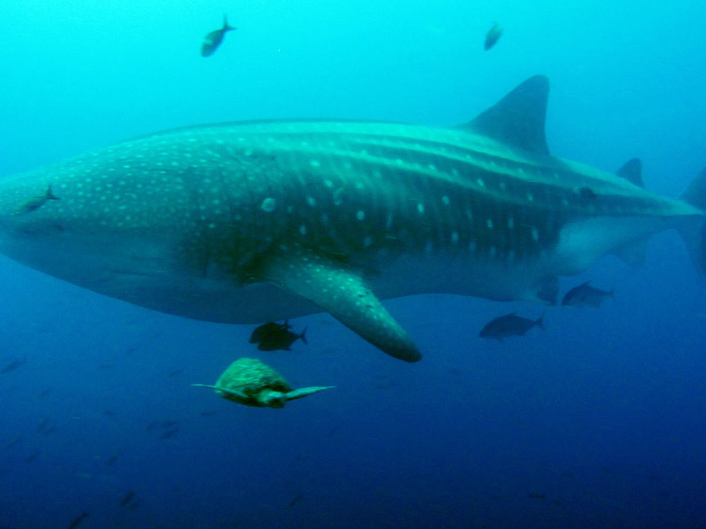 2935f268-a1cd-4409-bb45-4a3a54996f5b