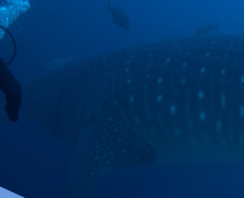 dc5dbd5f-97e8-48b1-8094-1d8c747b7d2a