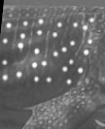 71691ec2-1bd6-4c98-98a0-410b0070f293