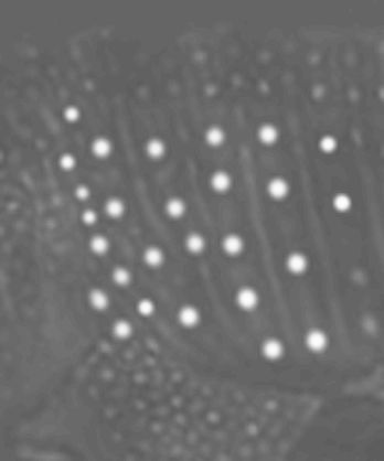 71691ec2-1bd6-4c98-98a0-410b0070f293