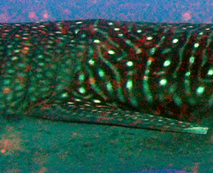 e14b3f24-beb1-4ce6-aff4-8c6e98b4c86b