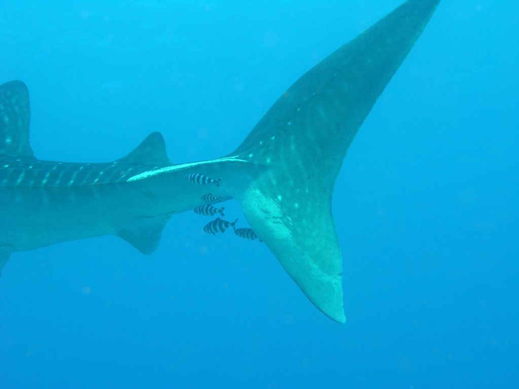 e14b3f24-beb1-4ce6-aff4-8c6e98b4c86b