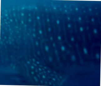 98dc1bce-5092-461f-ad9c-a196d614b926