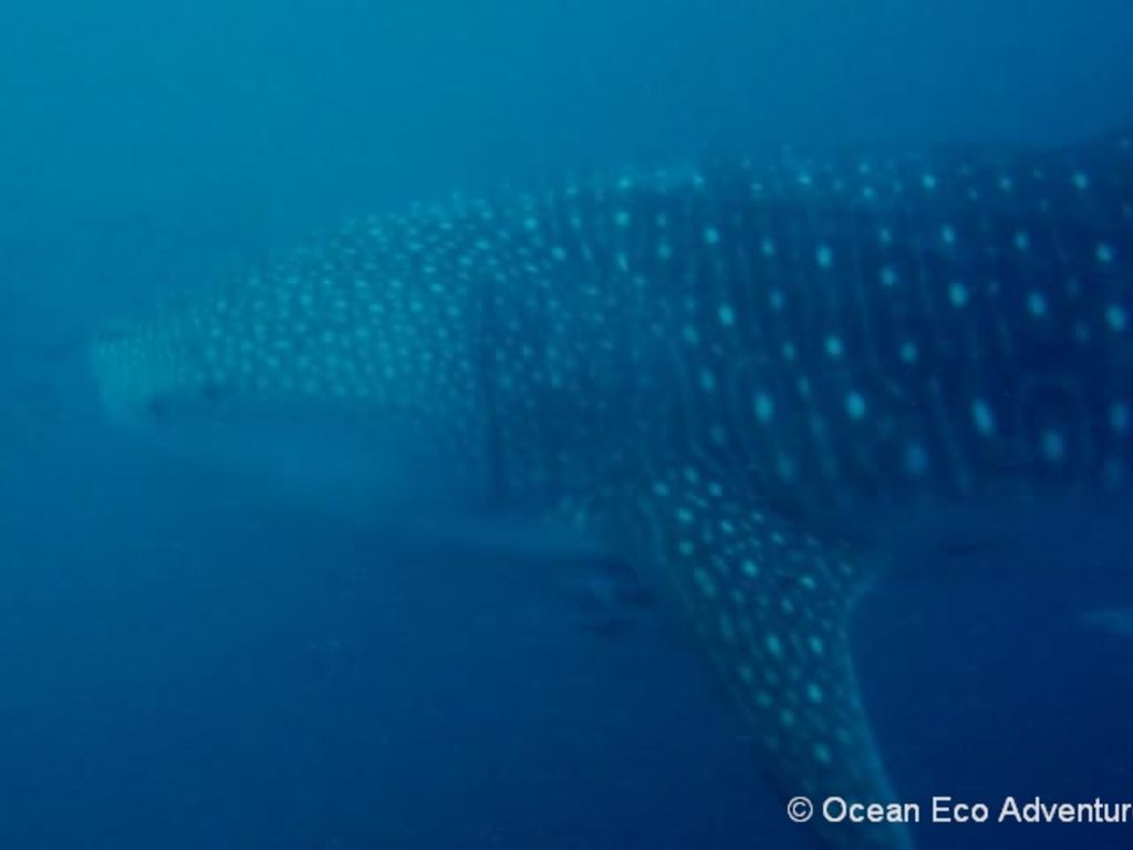 98dc1bce-5092-461f-ad9c-a196d614b926