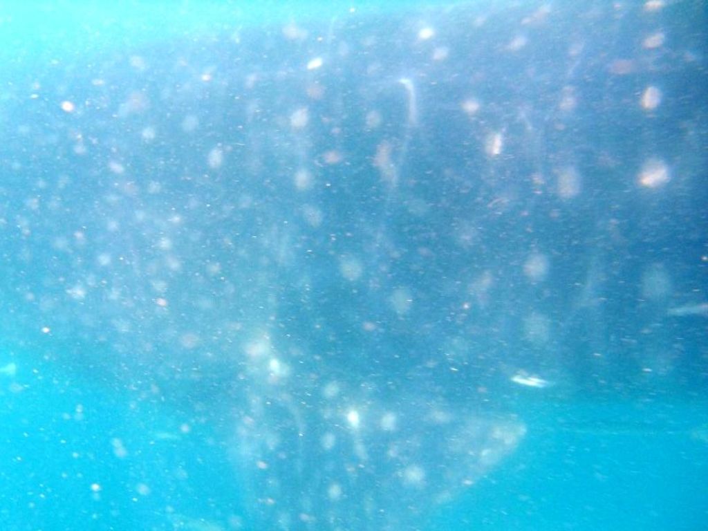 9856f41c-4f27-44f1-994b-215e97f213ca