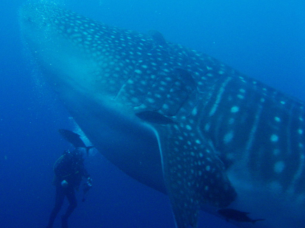 dd0f3f39-3585-4f9b-8482-30a7ee47e201