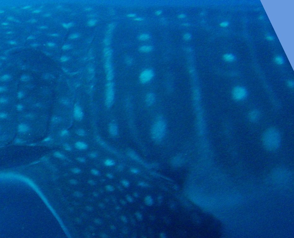 dd0f3f39-3585-4f9b-8482-30a7ee47e201