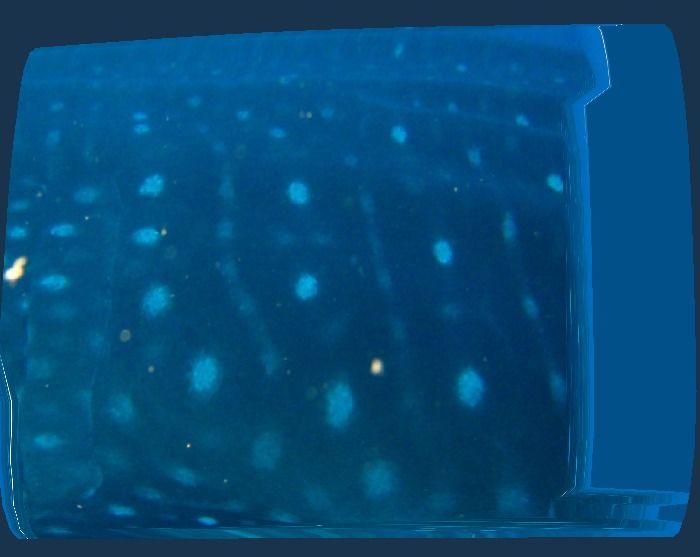 308809e9-b9e7-469b-8c5b-bfc68eb11fc2