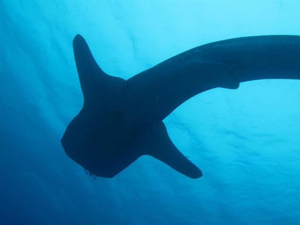 83dec638-d0e0-4332-af27-193b6c89a8c1