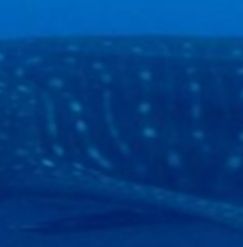 83dec638-d0e0-4332-af27-193b6c89a8c1