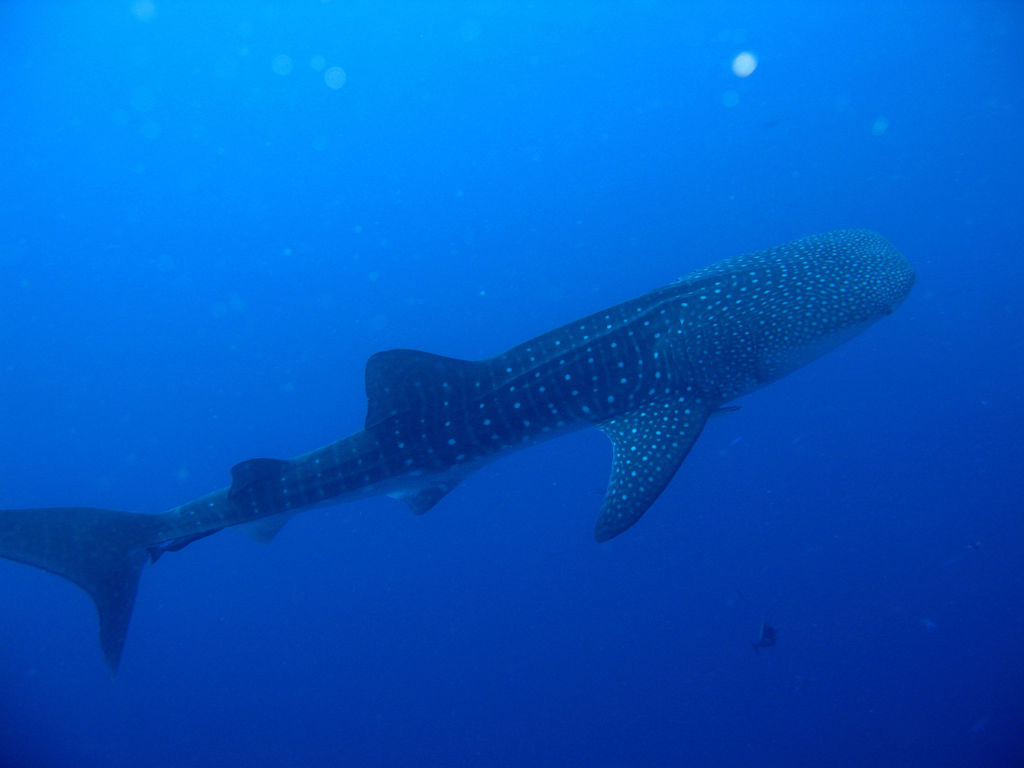 fbb77562-6385-47ed-a193-d4a73fa695fd