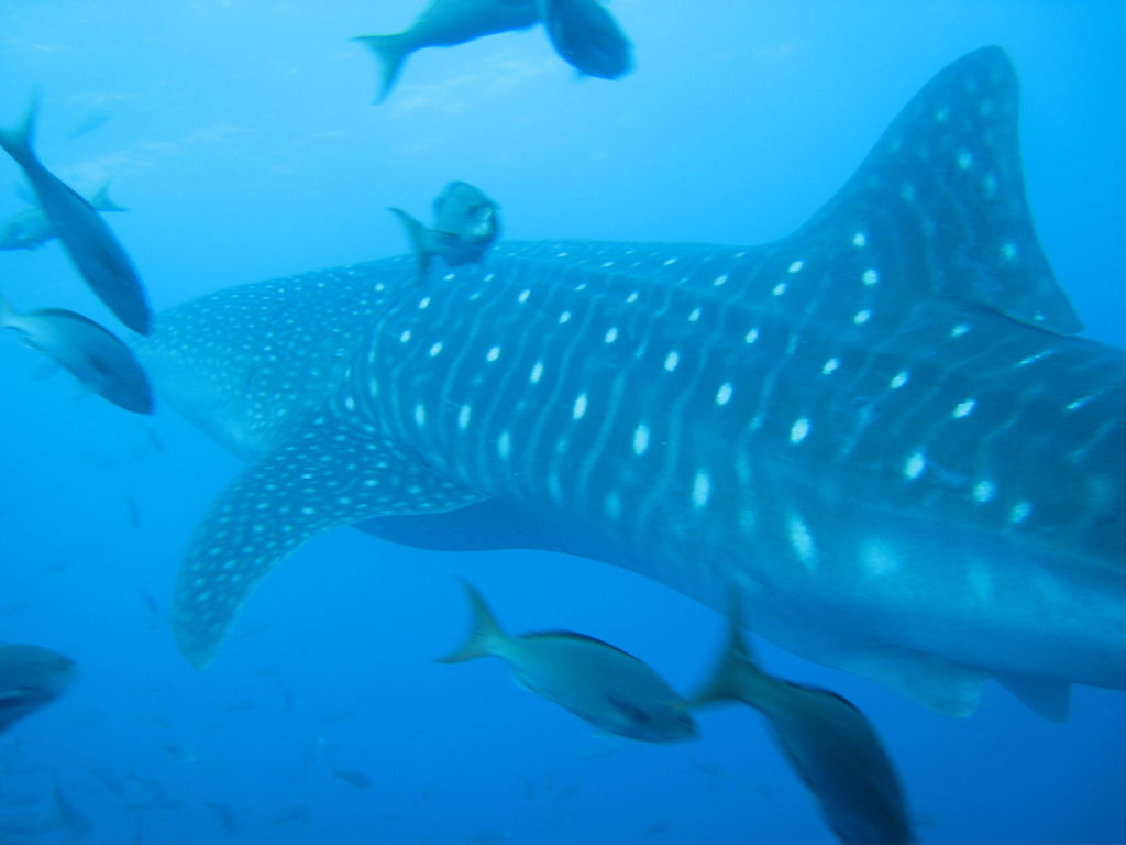 1ddf2b29-bb2e-4ea5-9826-dca673a7656e