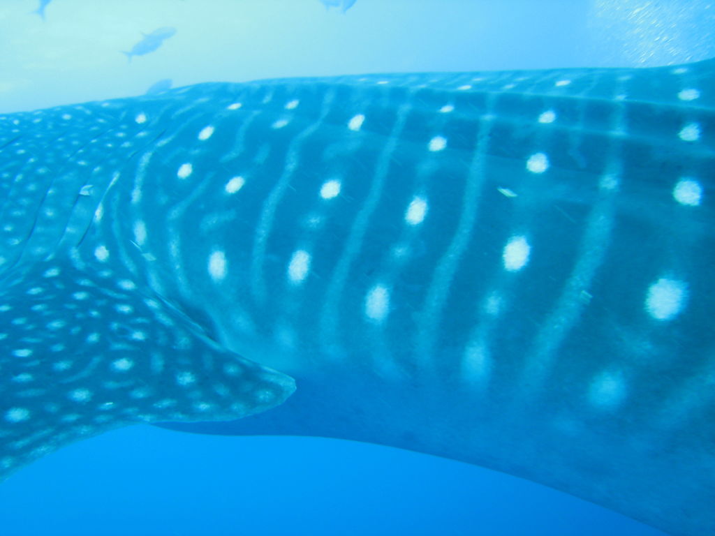 1ddf2b29-bb2e-4ea5-9826-dca673a7656e