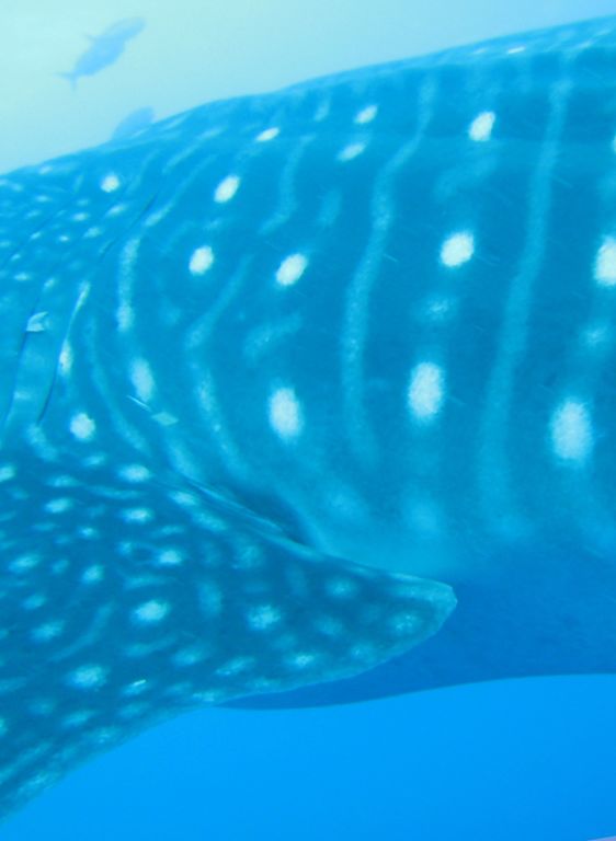 1ddf2b29-bb2e-4ea5-9826-dca673a7656e