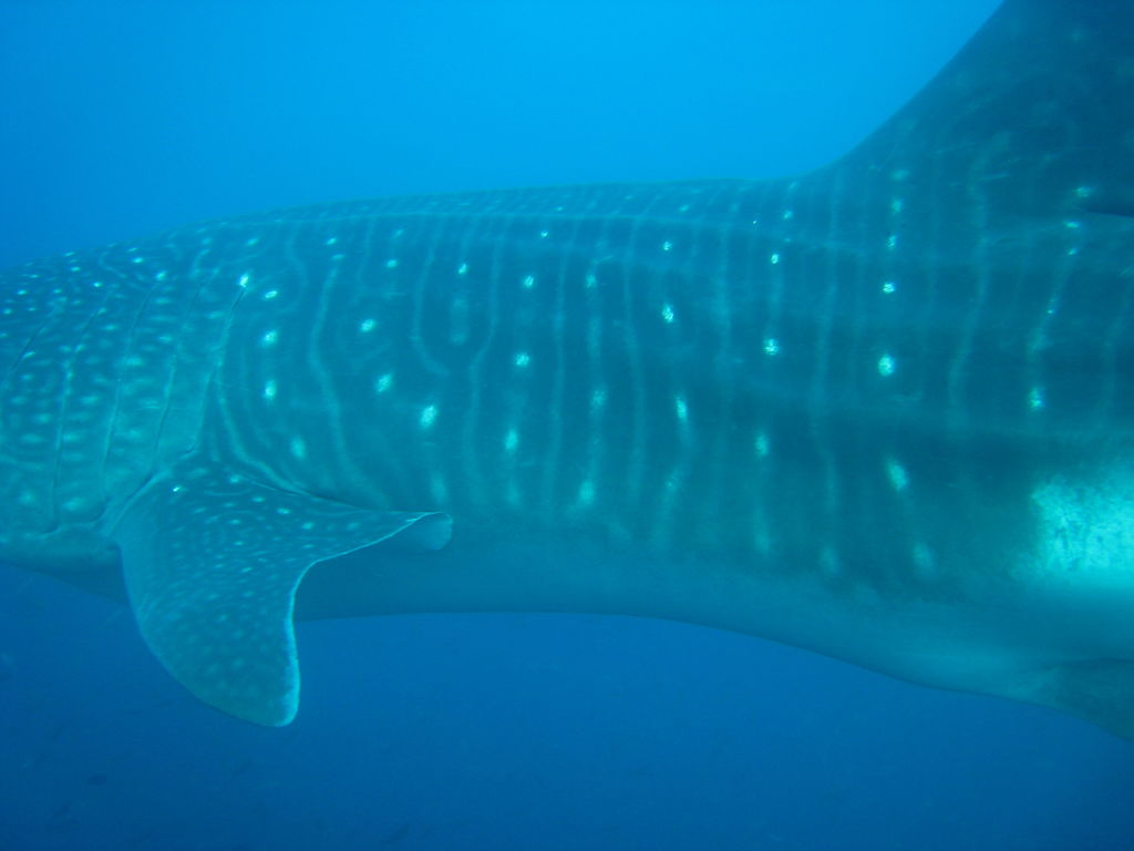 724b4357-0a9c-40de-96af-e29a2e5021c6