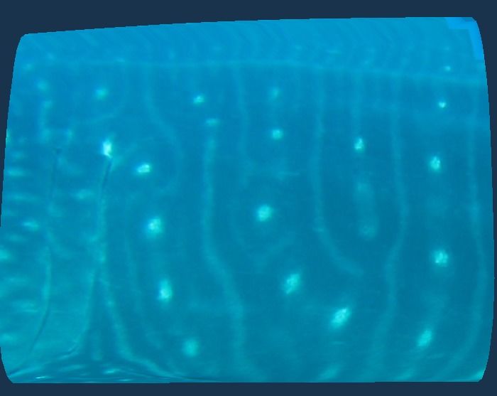 724b4357-0a9c-40de-96af-e29a2e5021c6