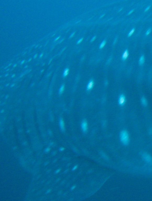 e046a5ef-49b4-4060-bd58-8131858be7bd