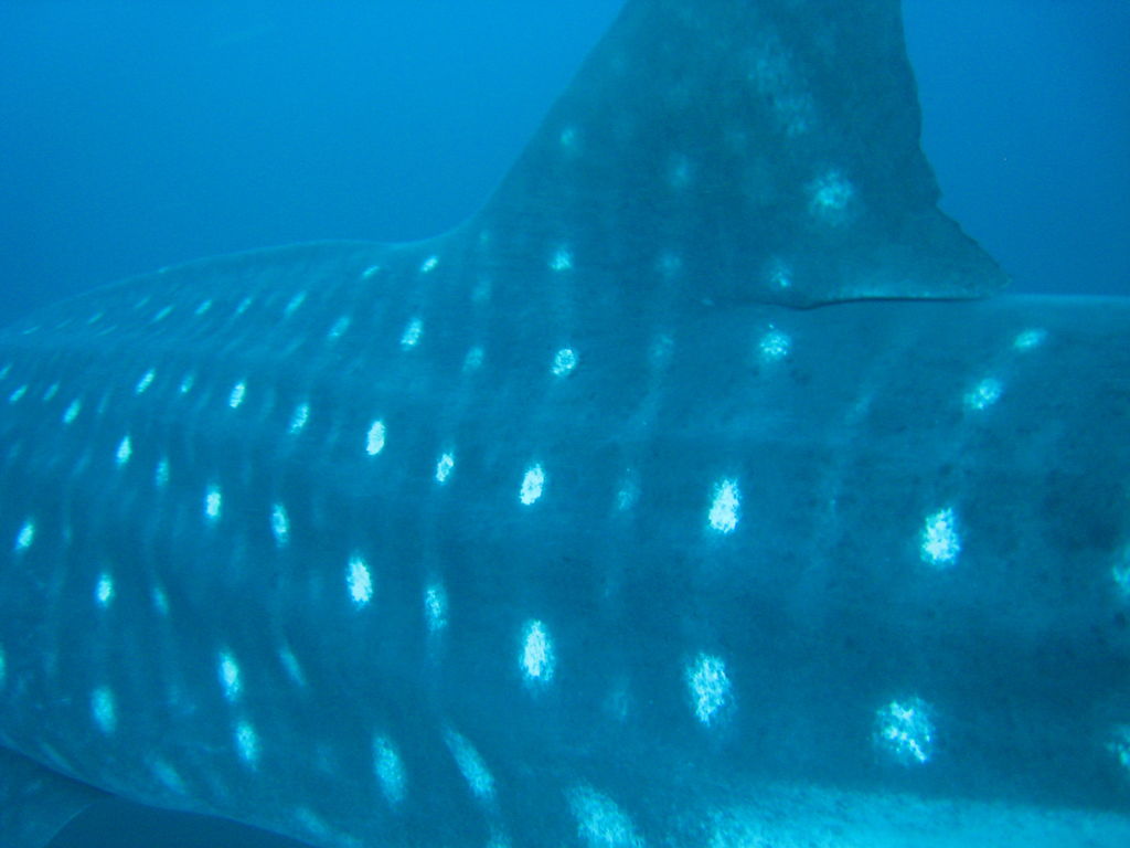 e046a5ef-49b4-4060-bd58-8131858be7bd