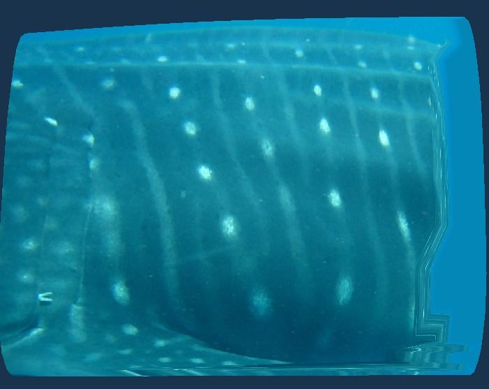 1728fcf1-d2f3-4650-86fa-3f3f58b55ab3