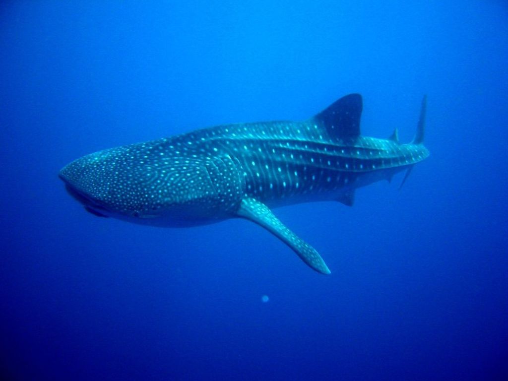 8dbb2bc3-3a29-4913-8a06-5baa75d90371