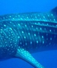 8dbb2bc3-3a29-4913-8a06-5baa75d90371