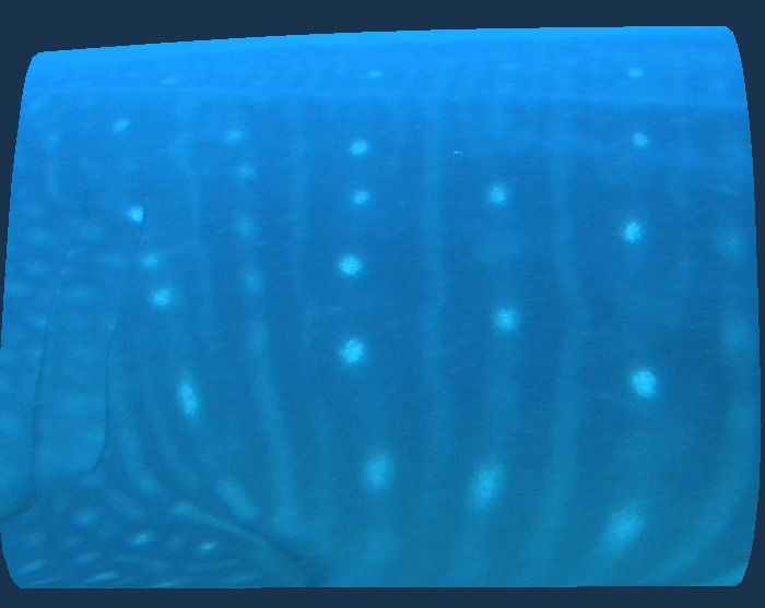 2c7d94a2-5e5e-49b3-8050-8817b9093393