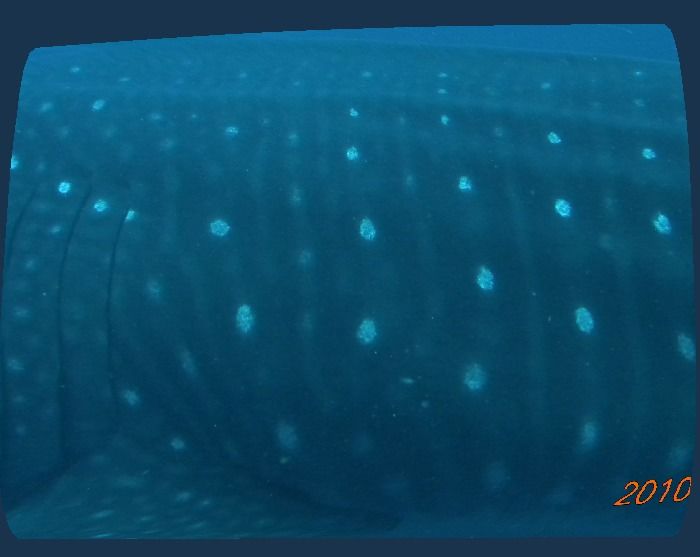 765d155f-6cc9-4dbc-9739-54c56cff999d