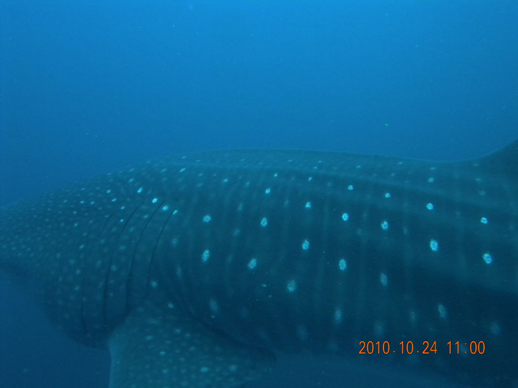 765d155f-6cc9-4dbc-9739-54c56cff999d